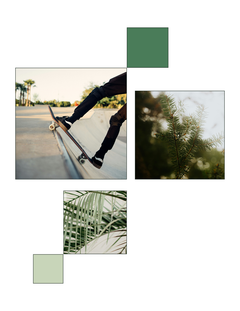 24-ZNC-0389-Website Homepage4